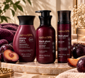 Black Plum - La gamme complète